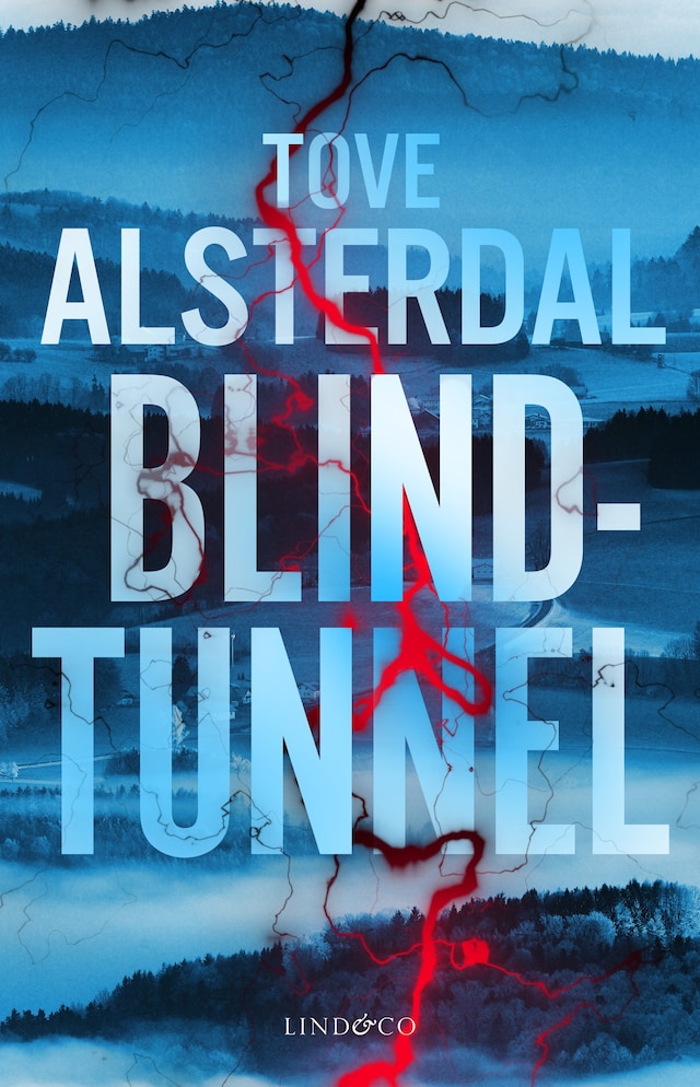 Bogomslag for Blindtunnel