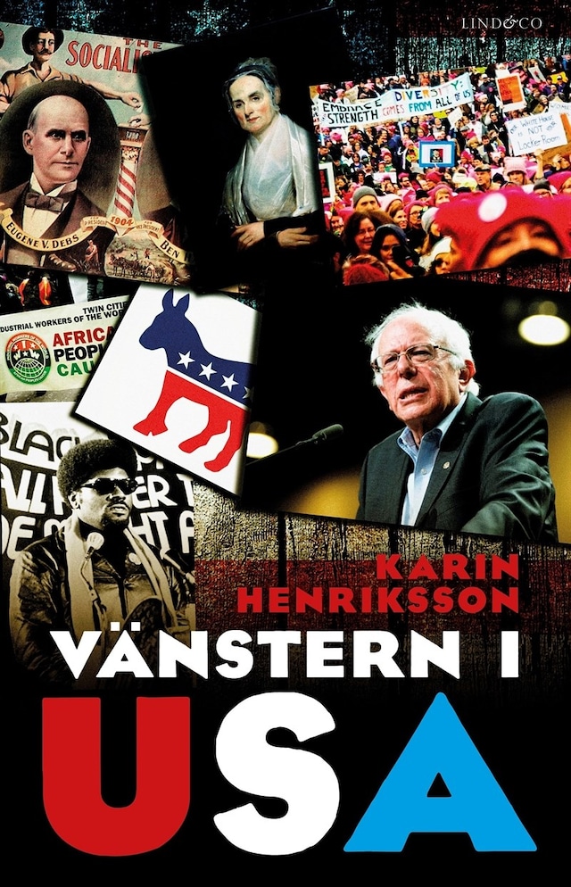 Book cover for Vänstern i USA