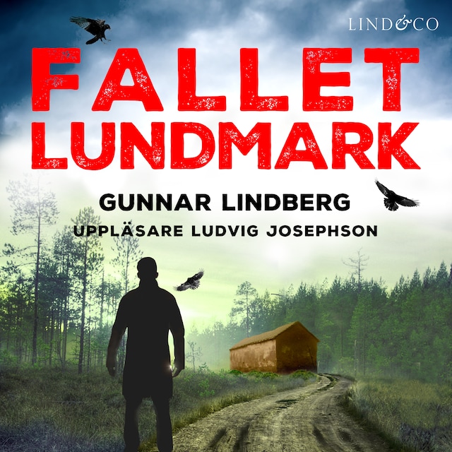 Book cover for Fallet Lundmark