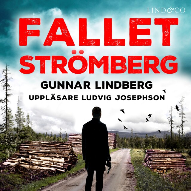 Boekomslag van Fallet Strömberg