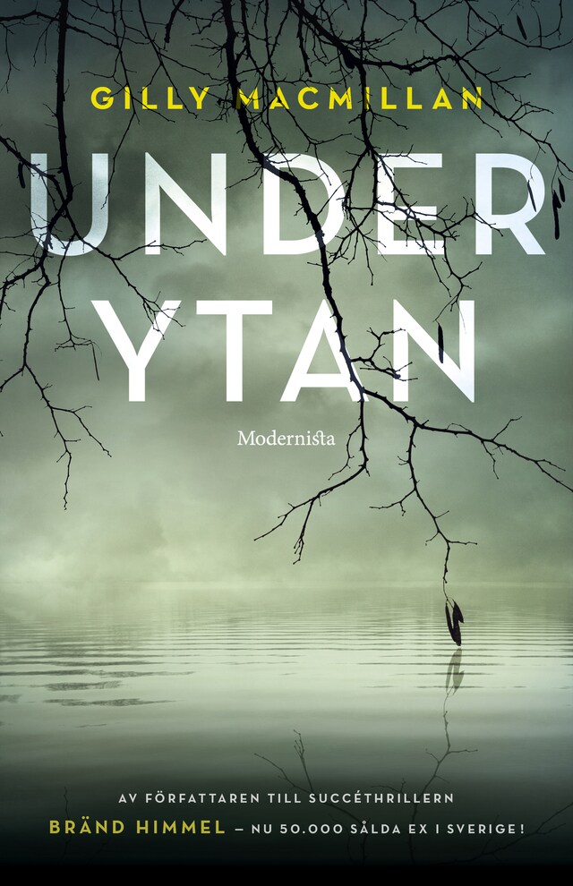 Book cover for Under ytan