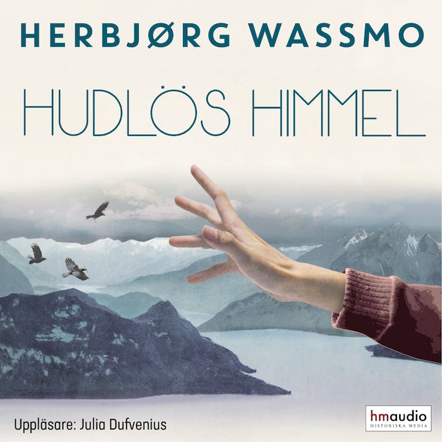 Book cover for Hudlös himmel