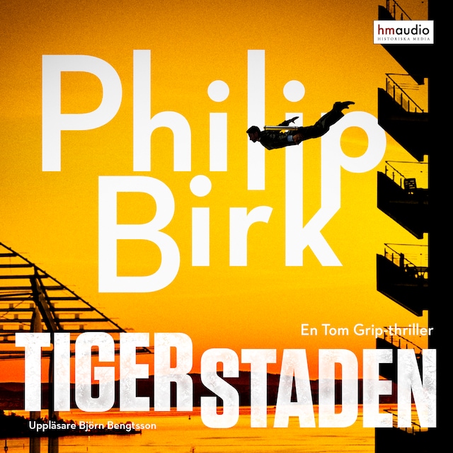 Book cover for Tigerstaden