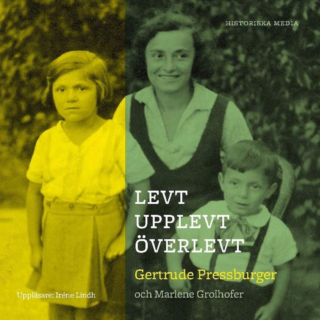 Book cover for Levt, upplevt, överlevt