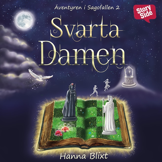 Book cover for Svarta Damen