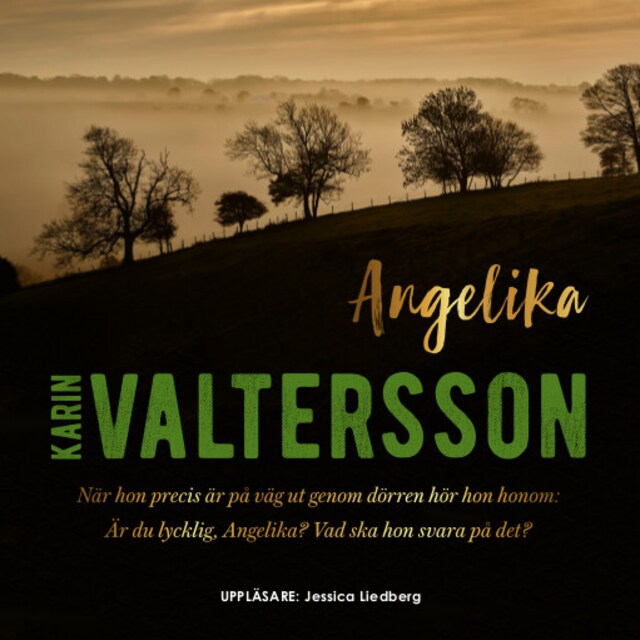 Buchcover für Angelika