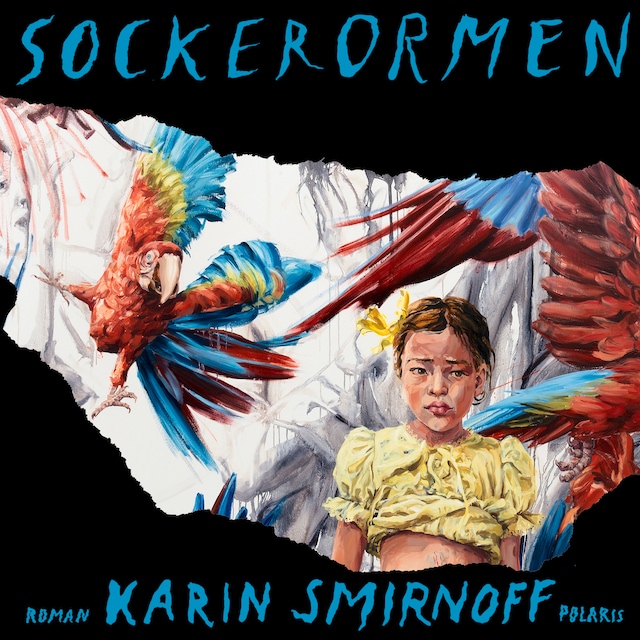 Book cover for Sockerormen