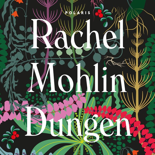 Buchcover für Dungen