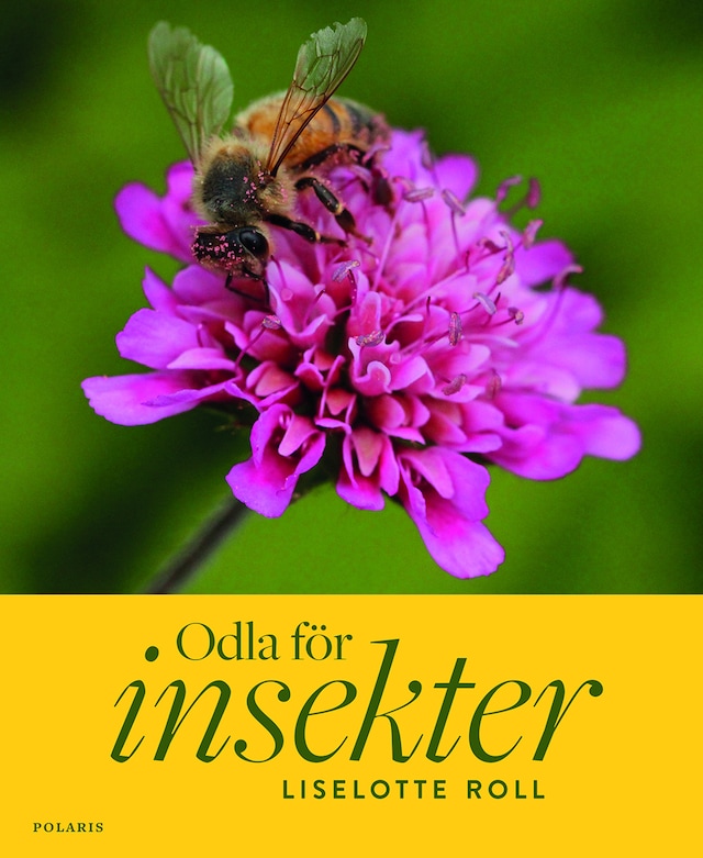 Boekomslag van Odla för insekter