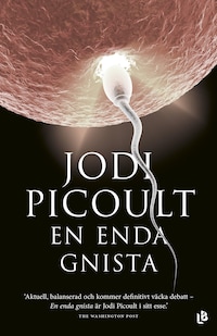En enda gnista