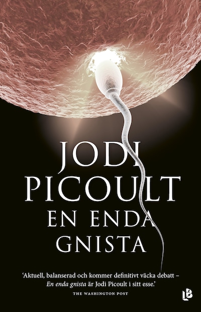 En Enda Gnista - Jodi Picoult - E-Book - Bookbeat