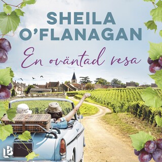 En oväntad resa bookCoverFor
