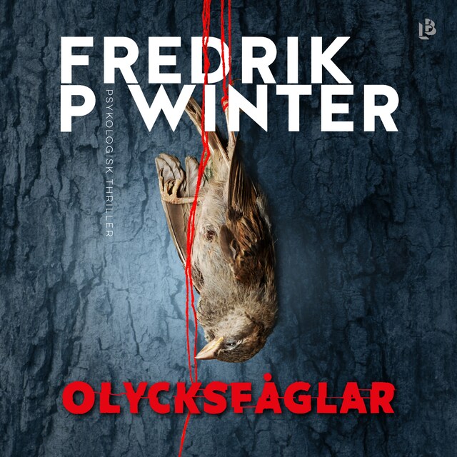 Book cover for Olycksfåglar