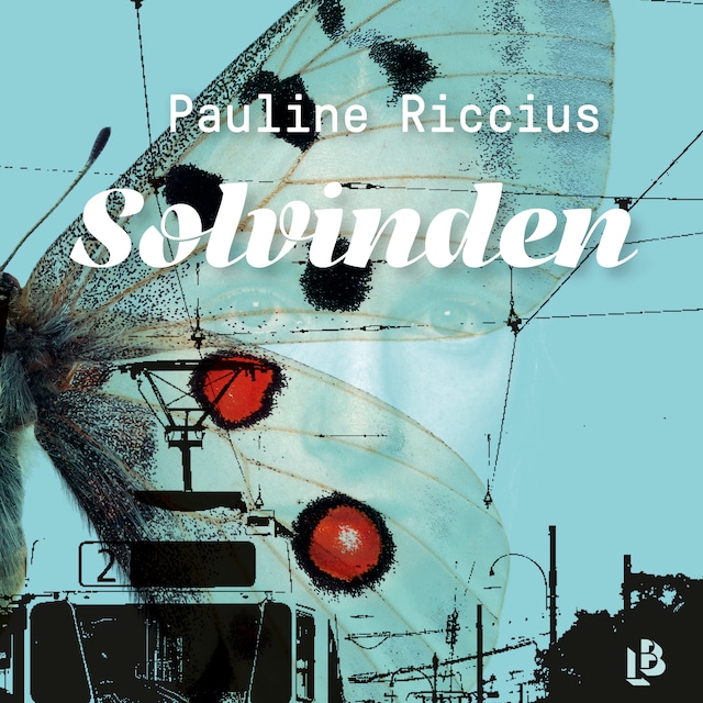 Book cover for Solvinden