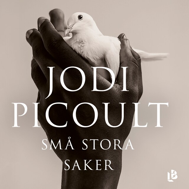 Små stora saker Book cover for Små stora saker