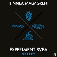 Experiment Svea - Spelet