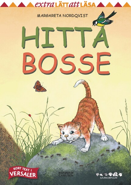 Hitta Bosse bookCoverFor