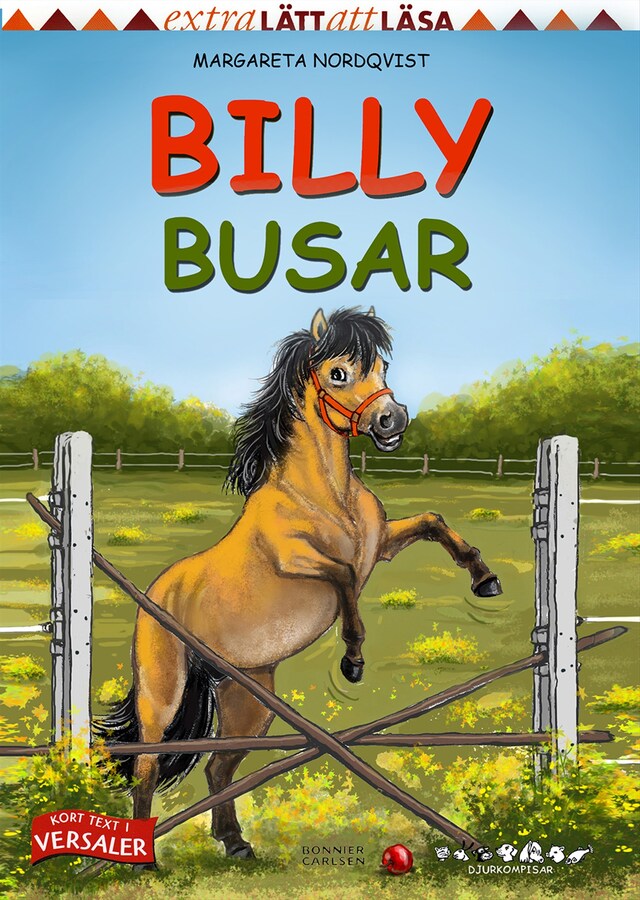 Buchcover für Billy busar