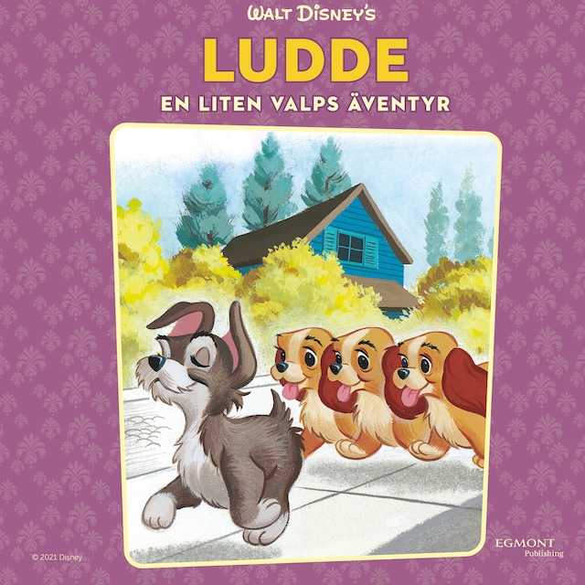 Bogomslag for Ludde. En liten valps äventyr