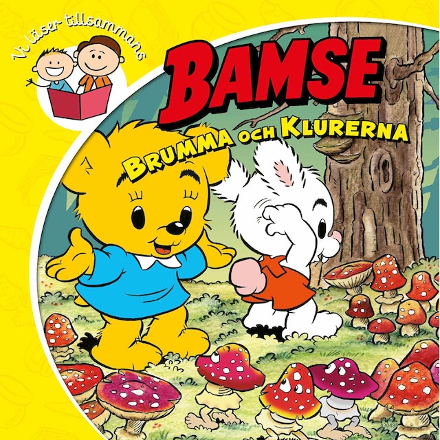 Book cover for Brumma och klurerna
