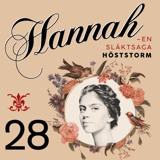 Book cover for Höststorm