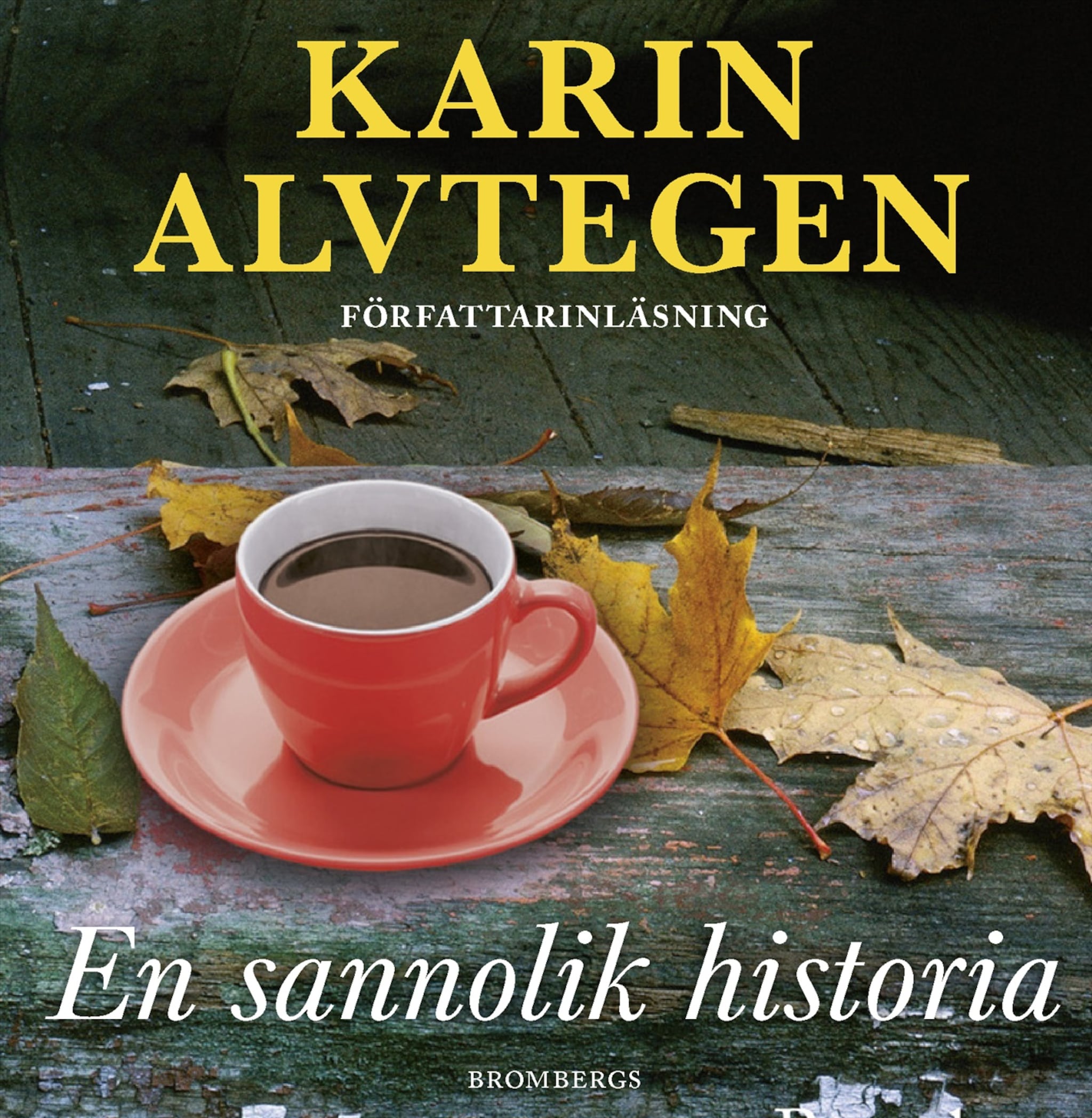 En sannolik historia