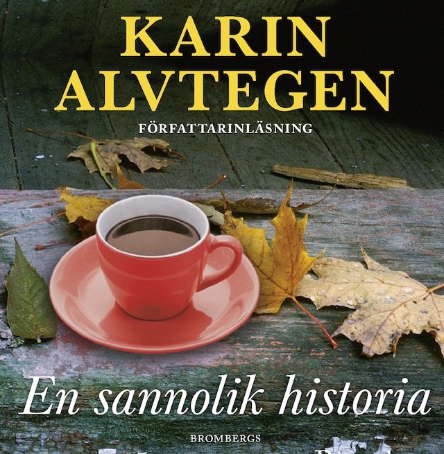 Book cover for En sannolik historia