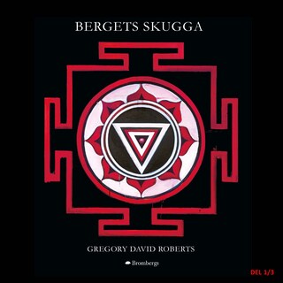 Bergets skugga - del 1 bookCoverFor