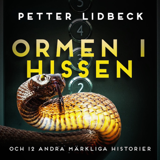 Book cover for Ormen i hissen och 12 andra märkliga historier