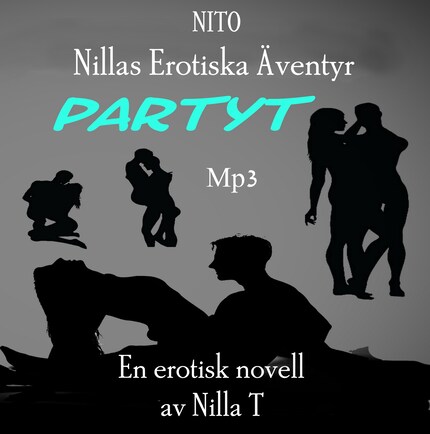 Partyt - Erotik bookCoverFor