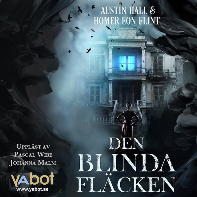Book cover for Den blinda fläcken