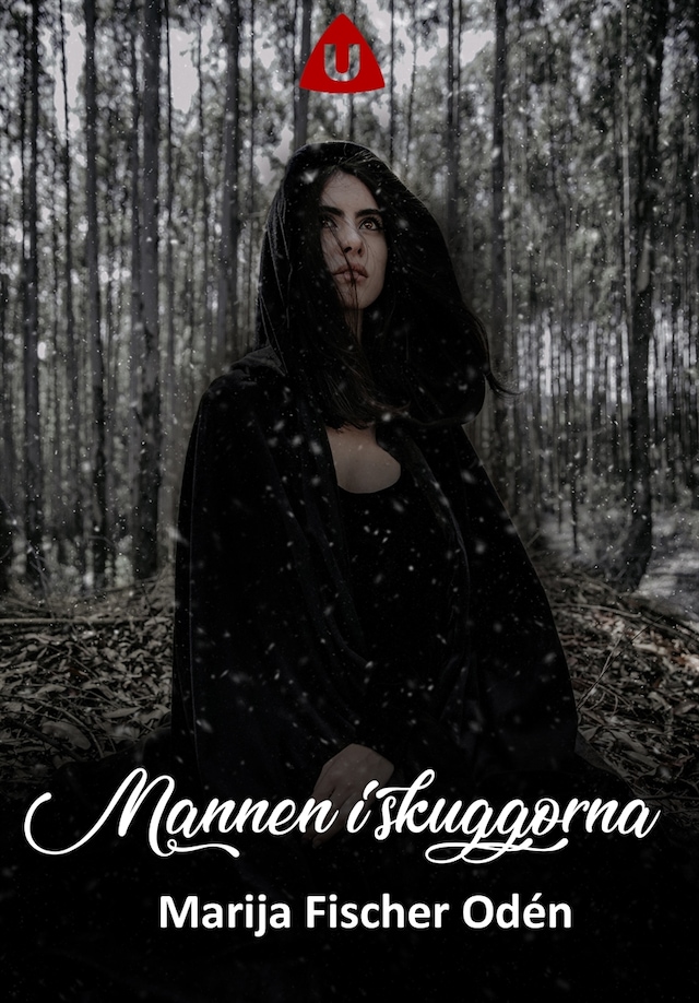 Book cover for Mannen i skuggorna