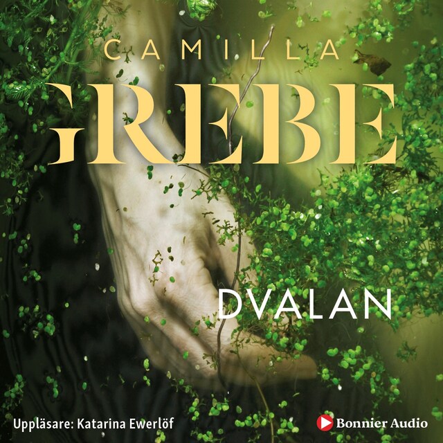 Book cover for Dvalan