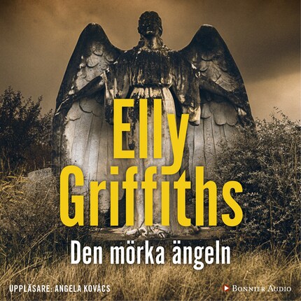 Den mörka ängeln bookCoverFor