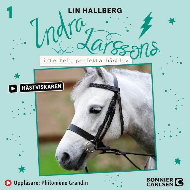 Book cover for Indra Larssons inte helt perfekta hästliv