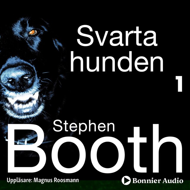 Book cover for Svarta hunden