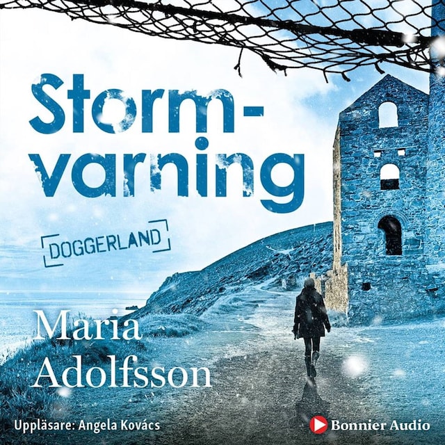 Portada de libro para Stormvarning