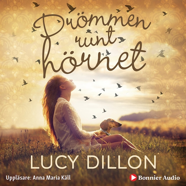 Book cover for Drömmen runt hörnet