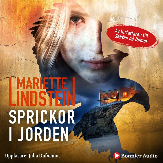 Book cover for Sprickor i jorden