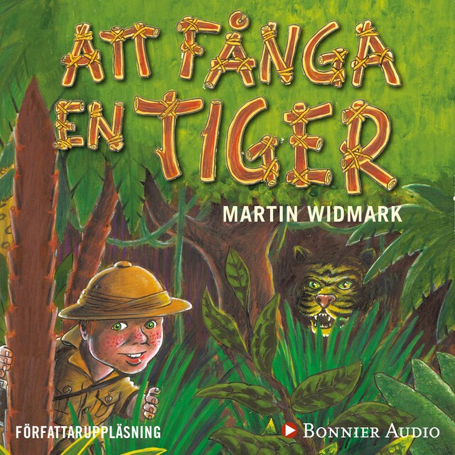 Portada de libro para Att fånga en tiger