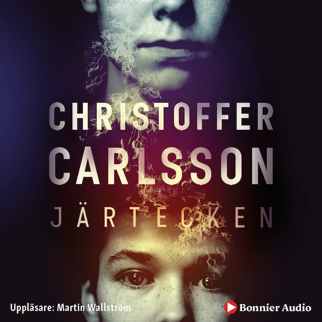 Book cover for Järtecken