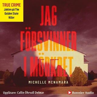Jag försvinner i mörkret bookCoverFor