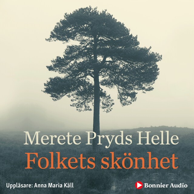 Book cover for Folkets skönhet