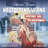 Mysteriet med tävlingsponnyn
