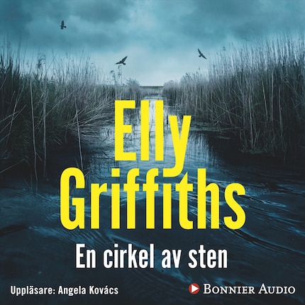 En cirkel av sten bookCoverFor