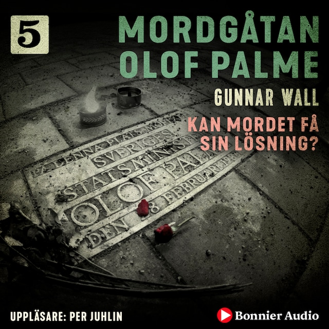 Bokomslag for Kan mordet få sin lösning?