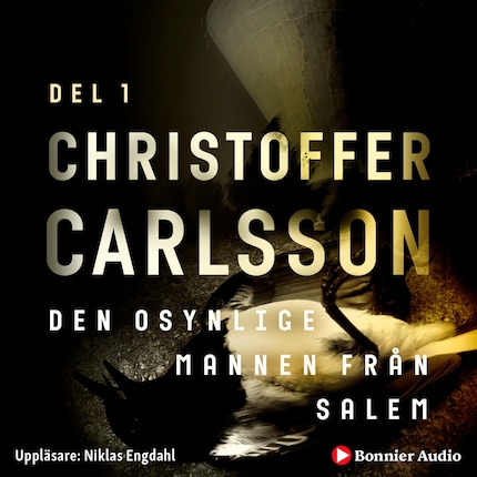 Den osynlige mannen från Salem bookCoverFor