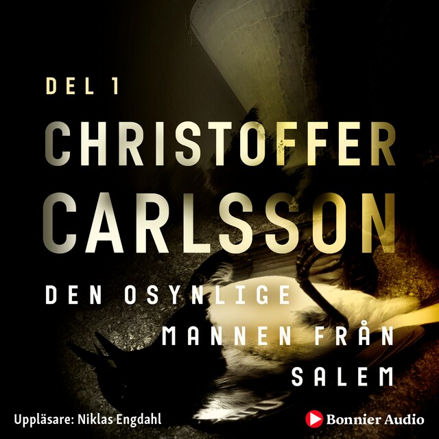 Portada de libro para Den osynlige mannen från Salem