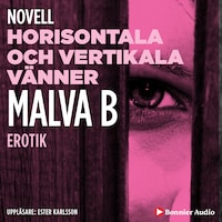 Horisontala och vertikala vänner : en novell ur Begär