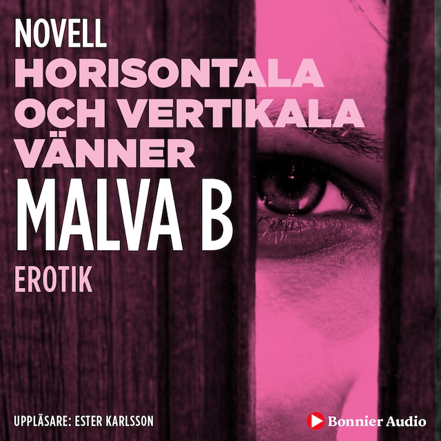 Buchcover für Horisontala och vertikala vänner : en novell ur Begär